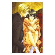����������� ������ �� �����/����� Higuri You Art. ������ �������: 60 � 100 ��
